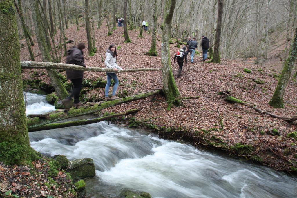 Ferienwohnungen Schenk Schmitz Bad Bertrich Exteriér fotografie