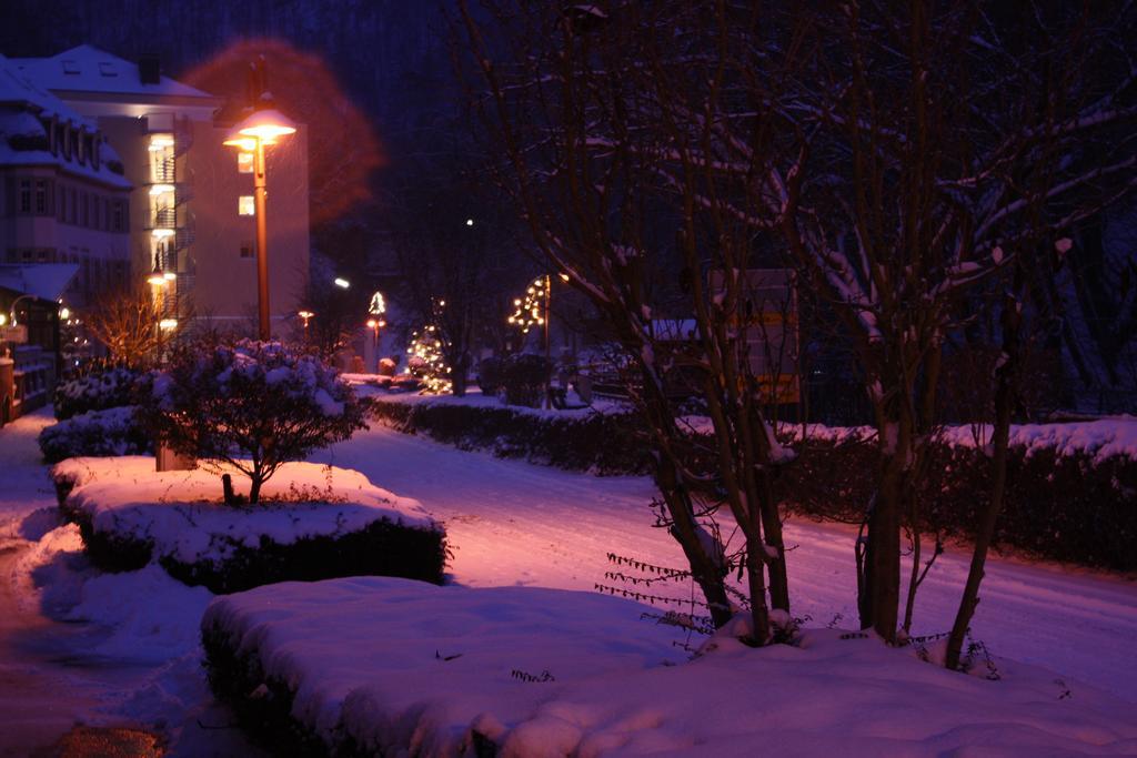 Ferienwohnungen Schenk Schmitz Bad Bertrich Exteriér fotografie